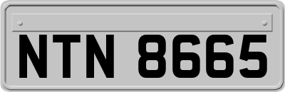 NTN8665