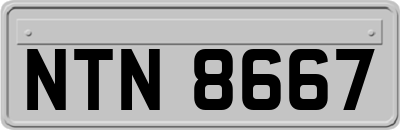 NTN8667