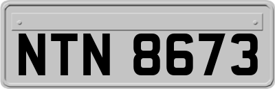 NTN8673