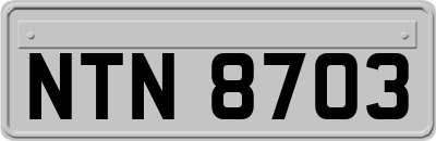 NTN8703