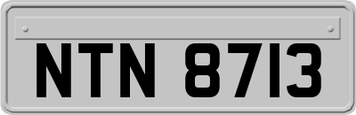 NTN8713