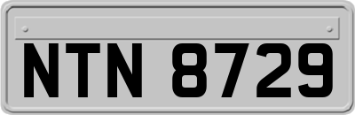 NTN8729