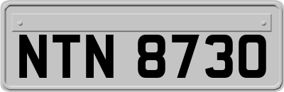 NTN8730
