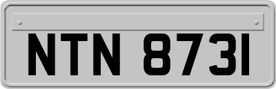 NTN8731