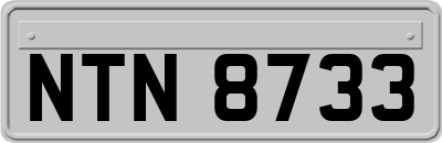 NTN8733