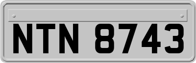 NTN8743