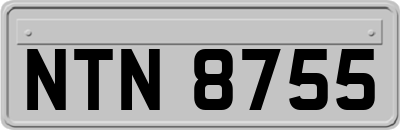 NTN8755
