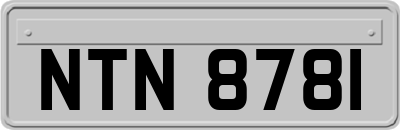NTN8781