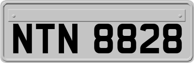 NTN8828