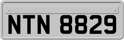 NTN8829