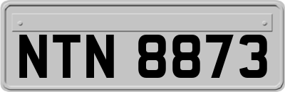 NTN8873