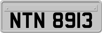 NTN8913