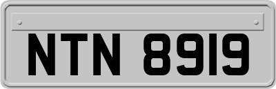 NTN8919