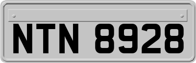 NTN8928