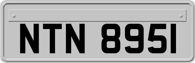 NTN8951