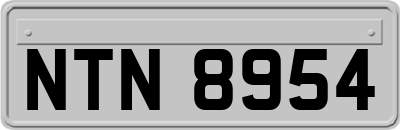 NTN8954