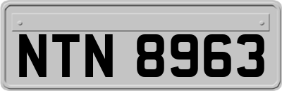 NTN8963