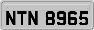 NTN8965