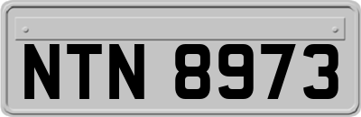 NTN8973