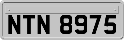 NTN8975