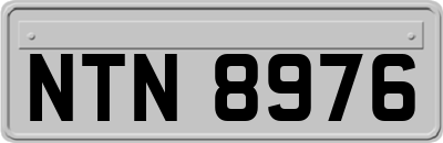 NTN8976