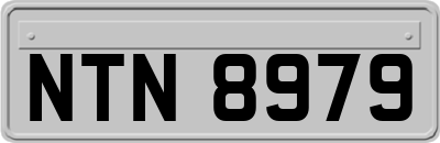 NTN8979