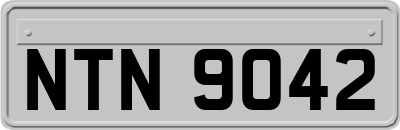 NTN9042