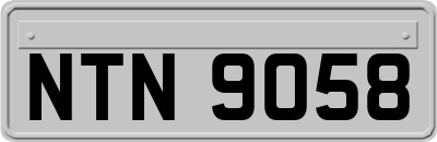 NTN9058