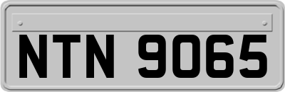 NTN9065