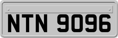 NTN9096