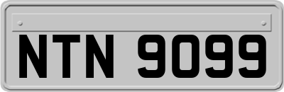 NTN9099