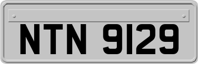 NTN9129