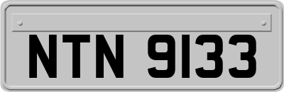 NTN9133
