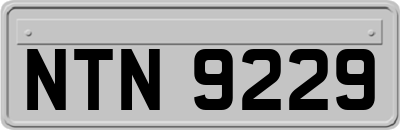 NTN9229