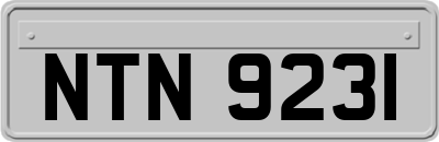 NTN9231
