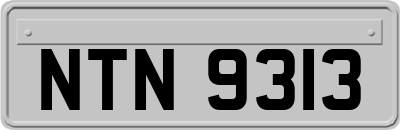NTN9313
