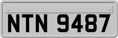 NTN9487