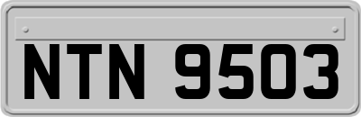 NTN9503