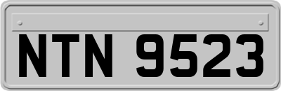 NTN9523