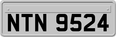 NTN9524