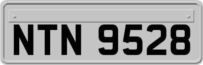 NTN9528