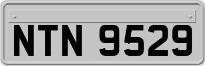 NTN9529