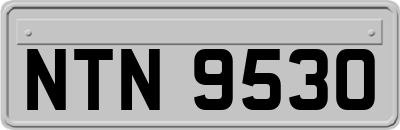 NTN9530