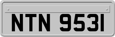 NTN9531