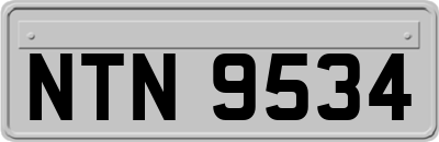 NTN9534