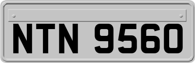 NTN9560