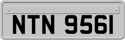 NTN9561