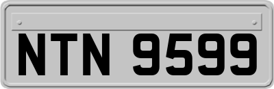 NTN9599