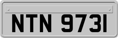 NTN9731
