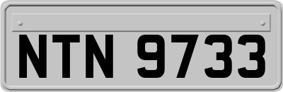 NTN9733
